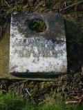 image of grave number 239526